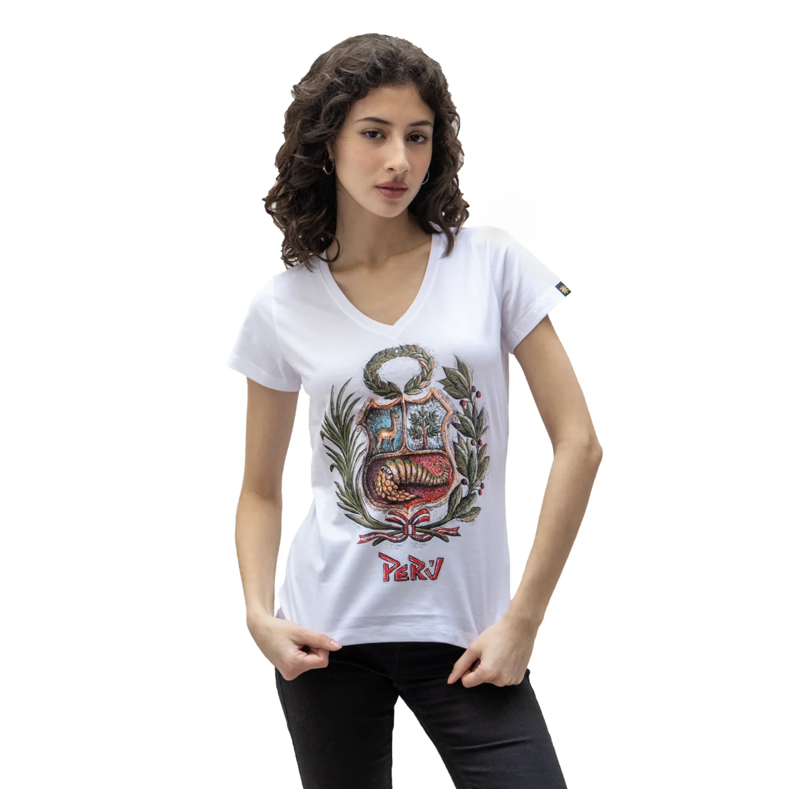 Escudo de armas 1920 WEBP Escudo de armas 1920 WEBP